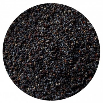 SEMI DI PAPAVERO KG 1